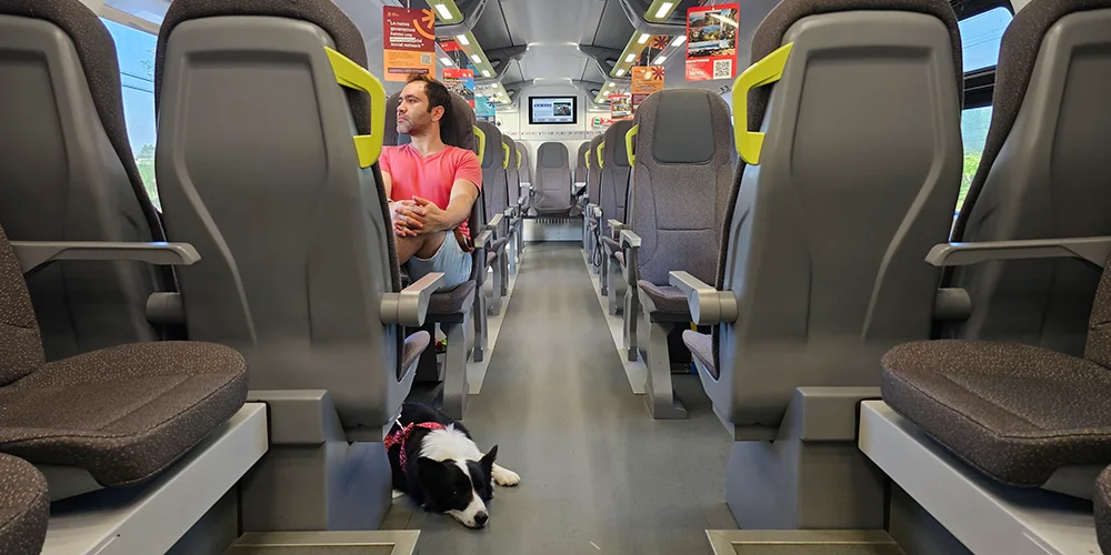 trenes trenord italia