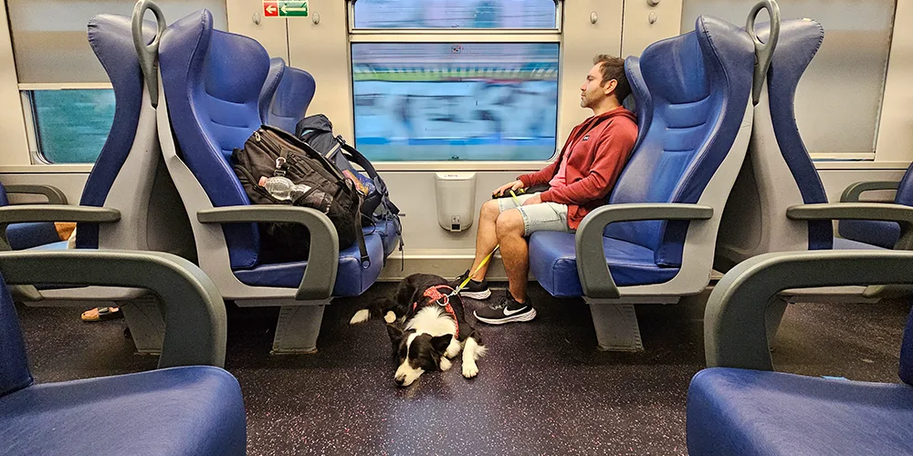 viajar con perro en italia in tour